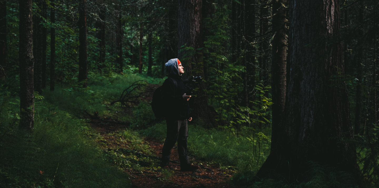 Фотография туриста в дремучем зеленом лесу