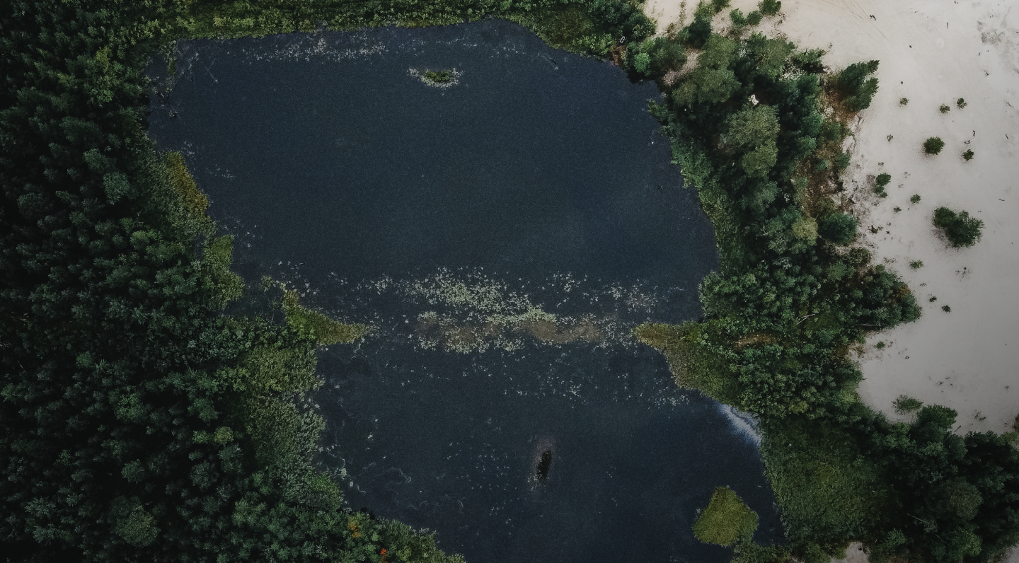 Изображено озеро, окруженное лесом