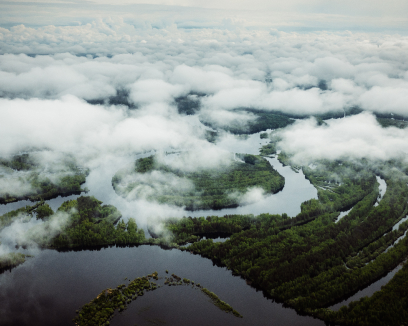 Пейзаж с дрона, изображает болотистую местность